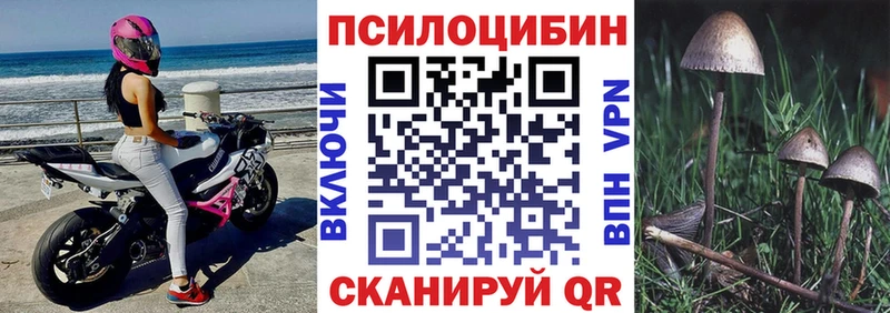 наркотики  Исилькуль  Галлюциногенные грибы ЛСД 